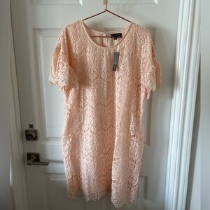 NWT The Limited pink lace dress size 8
